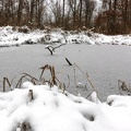 Sheltowee Trace - 08